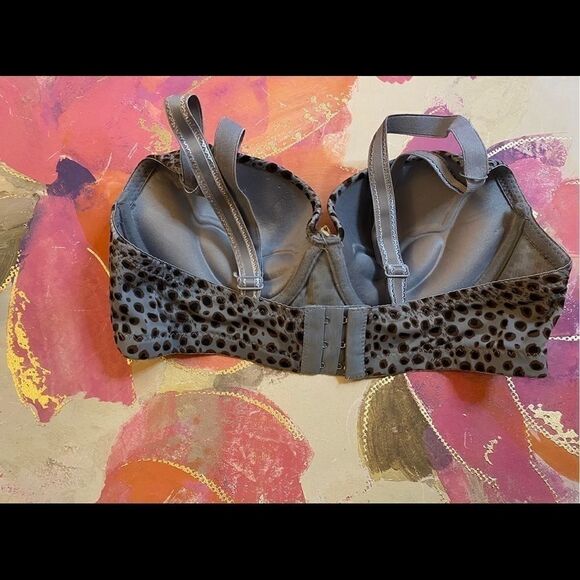 Lacy women’s leopard Design Sexy Push Up Bra 36B - Picture 8 of 12